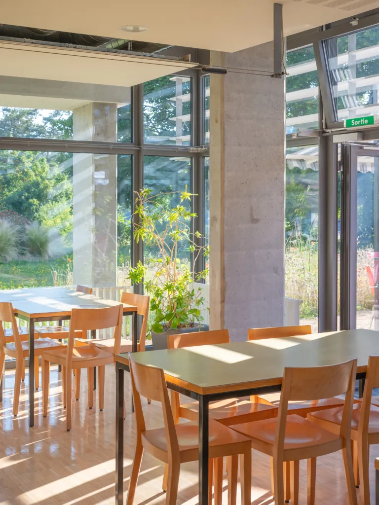 Cafeteria Orif Pomy