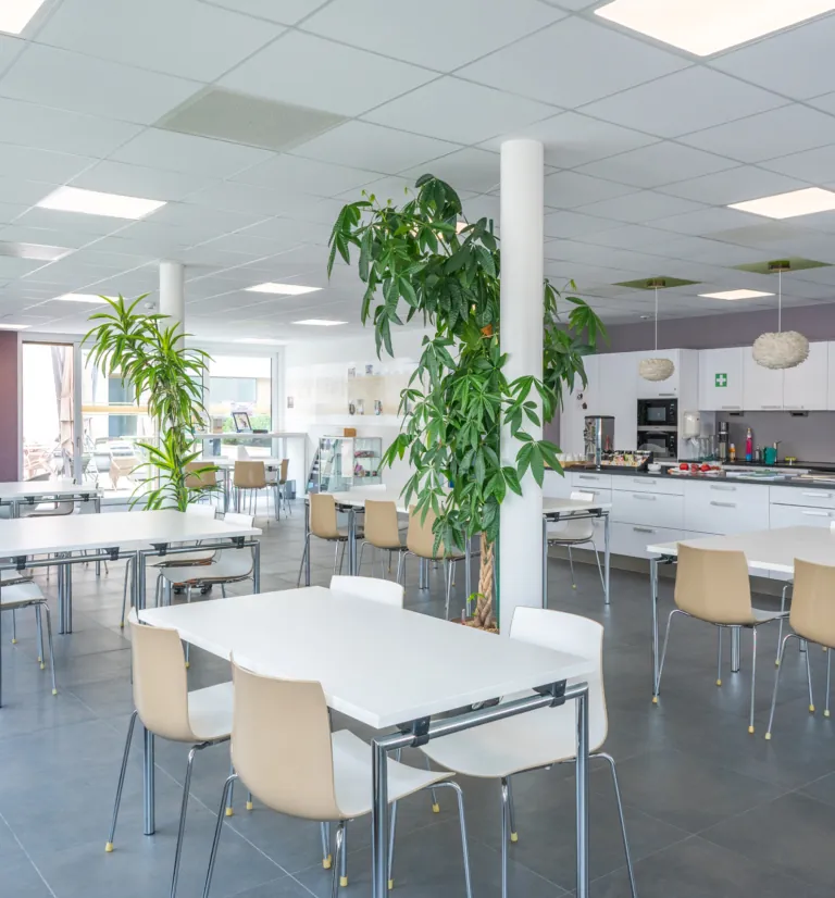 LCDF_CAFETERIA_DSC_2504