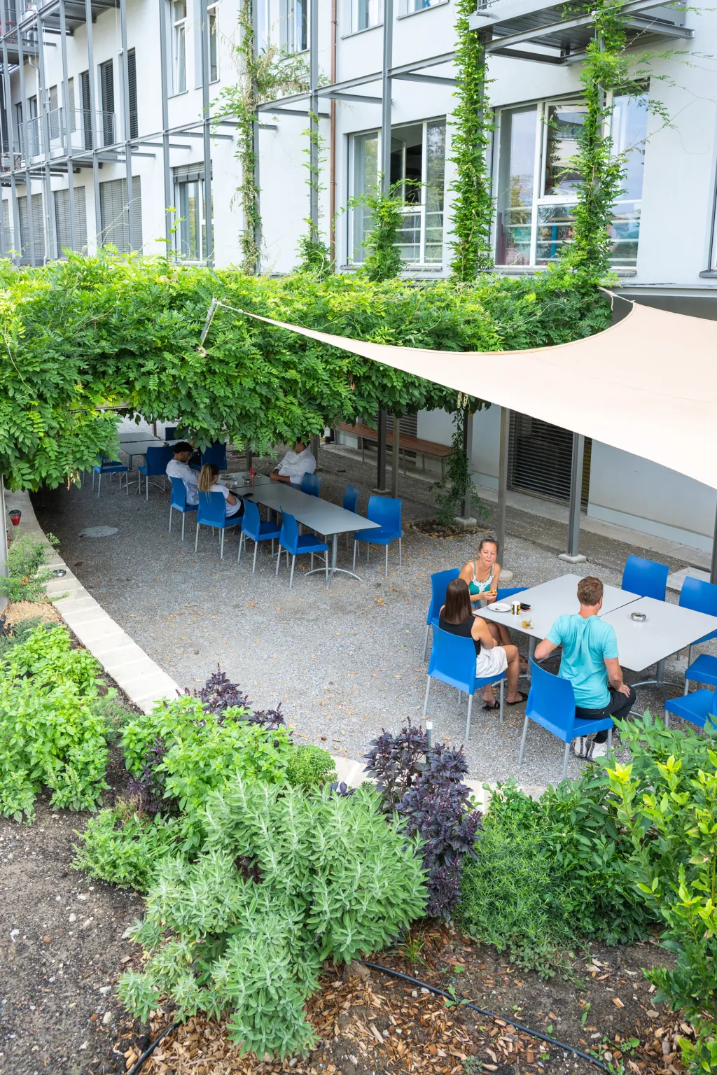 TERRASSE_DSC_3562